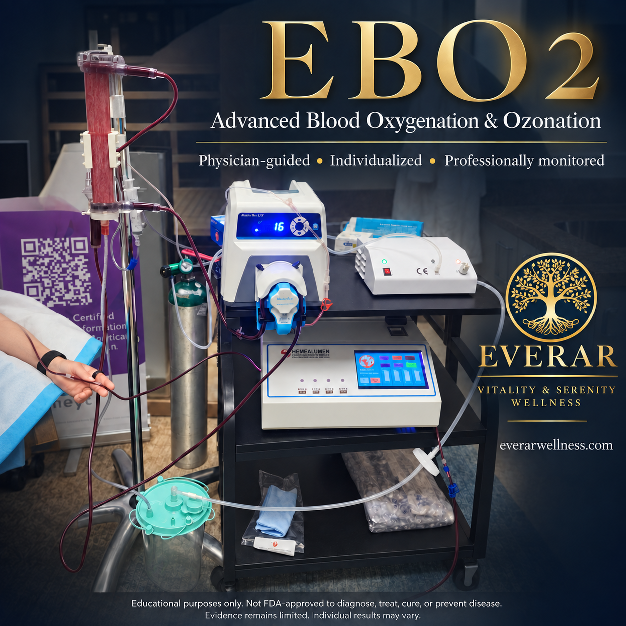 EBO2 blood oxygenation and ozonation machine at Everar